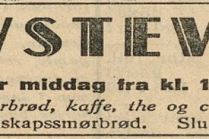 Bilde av Torvstevnet